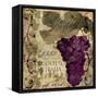 Vino Italiano I-Sasha-Framed Stretched Canvas