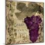 Vino Italiano I-Sasha-Mounted Giclee Print