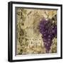 Vino Italiano II-null-Framed Giclee Print