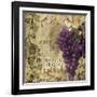 Vino Italiano II-null-Framed Giclee Print