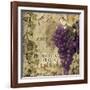 Vino Italiano II-null-Framed Giclee Print