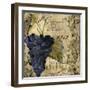 Vino Italiano III-Sasha-Framed Giclee Print