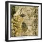 Vino Italiano IV-Sasha-Framed Giclee Print