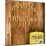 Vins Fins & Liqueurs Paris-Philippe Hugonnard-Mounted Giclee Print