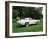 Vintage 1966 Chevrolet Corvette Car, Waterloo, Quebec, Canada-Design Pics-Framed Photographic Print