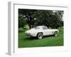 Vintage 1966 Chevrolet Corvette Car, Waterloo, Quebec, Canada-Design Pics-Framed Photographic Print