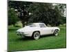 Vintage 1966 Chevrolet Corvette Car, Waterloo, Quebec, Canada-Design Pics-Mounted Photographic Print