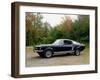 Vintage 1966 Ford Mustang Gate Car, Waterloo, Quebec, Canada-Design Pics-Framed Photographic Print