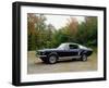 Vintage 1966 Ford Mustang Gate Car, Waterloo, Quebec, Canada-Design Pics-Framed Photographic Print