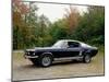 Vintage 1966 Ford Mustang Gate Car, Waterloo, Quebec, Canada-Design Pics-Mounted Photographic Print