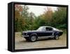 Vintage 1966 Ford Mustang Gate Car, Waterloo, Quebec, Canada-Design Pics-Framed Stretched Canvas