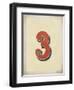 Vintage 3-Kindred Sol Collective-Framed Art Print