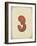 Vintage 3-Kindred Sol Collective-Framed Art Print