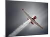 Vintage Airplane at High Speed-Johan Swanepoel-Mounted Photographic Print