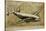 Vintage Airplane III-Sidney Paul & Co.-Stretched Canvas