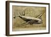 Vintage Airplane III-Sidney Paul & Co.-Framed Premium Giclee Print