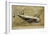 Vintage Airplane III-Sidney Paul & Co.-Framed Art Print