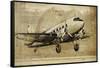 Vintage Airplane-Sidney Paul & Co.-Framed Stretched Canvas