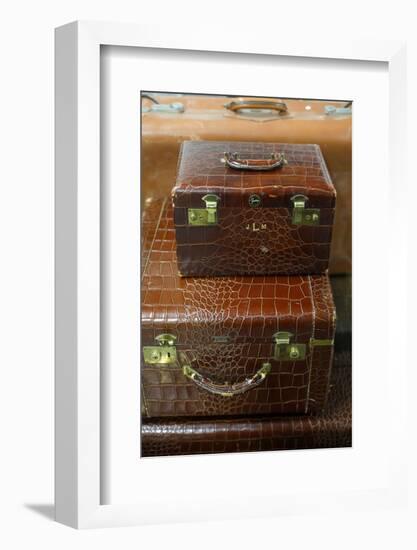 Vintage alligator skin luggage.-Julien McRoberts-Framed Photographic Print