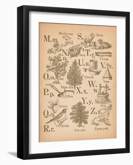 Vintage Alphabet II-Wild Apple Portfolio-Framed Art Print