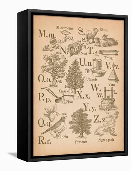 Vintage Alphabet II-Wild Apple Portfolio-Framed Stretched Canvas