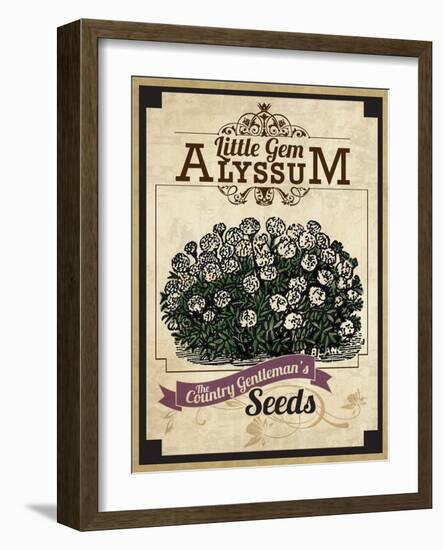 Vintage Alyssum Seed Packet-null-Framed Giclee Print