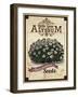 Vintage Alyssum Seed Packet-null-Framed Giclee Print