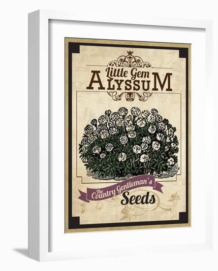 Vintage Alyssum Seed Packet-null-Framed Giclee Print