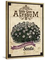 Vintage Alyssum Seed Packet-null-Stretched Canvas