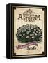 Vintage Alyssum Seed Packet-null-Framed Stretched Canvas