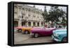 Vintage American Cars Parking Outside the Gran Teatro (Grand Theater), Havana, Cuba-Yadid Levy-Framed Stretched Canvas