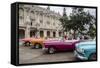 Vintage American Cars Parking Outside the Gran Teatro (Grand Theater), Havana, Cuba-Yadid Levy-Framed Stretched Canvas