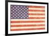 Vintage American Flag-Alisa Foytik-Framed Art Print