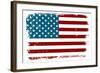 Vintage American Flag-Alisa Foytik-Framed Art Print