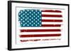 Vintage American Flag-Alisa Foytik-Framed Art Print