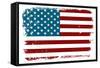 Vintage American Flag-Alisa Foytik-Framed Stretched Canvas