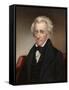 Vintage American History Painting of President Andrew Jackson-null-Framed Stretched Canvas