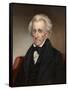 Vintage American History Painting of President Andrew Jackson-null-Framed Stretched Canvas