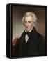 Vintage American History Painting of President Andrew Jackson-null-Framed Stretched Canvas