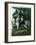 Vintage American History Print of General Andrew Jackson On Horseback-Stocktrek Images-Framed Photographic Print