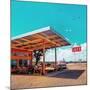 Vintage Americana Garage-Salvatore Elia-Mounted Photographic Print