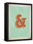 Vintage Ampersand-Kindred Sol Collective-Framed Stretched Canvas