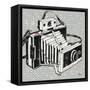 Vintage Analog Camera-Michael Mullan-Framed Stretched Canvas