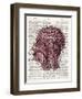 Vintage Anatomy Brain-Christopher James-Framed Art Print