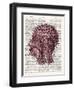 Vintage Anatomy Brain-Christopher James-Framed Art Print