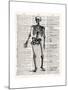 Vintage Anatomy Skeleton-Christopher James-Mounted Premium Giclee Print