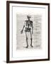 Vintage Anatomy Skeleton-Christopher James-Framed Premium Giclee Print