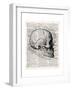 Vintage Anatomy Skull-Christopher James-Framed Premium Giclee Print