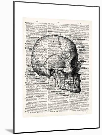 Vintage Anatomy Skull-Christopher James-Mounted Premium Giclee Print