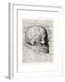 Vintage Anatomy Skull-Christopher James-Framed Premium Giclee Print